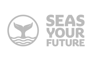 Seas Your Future